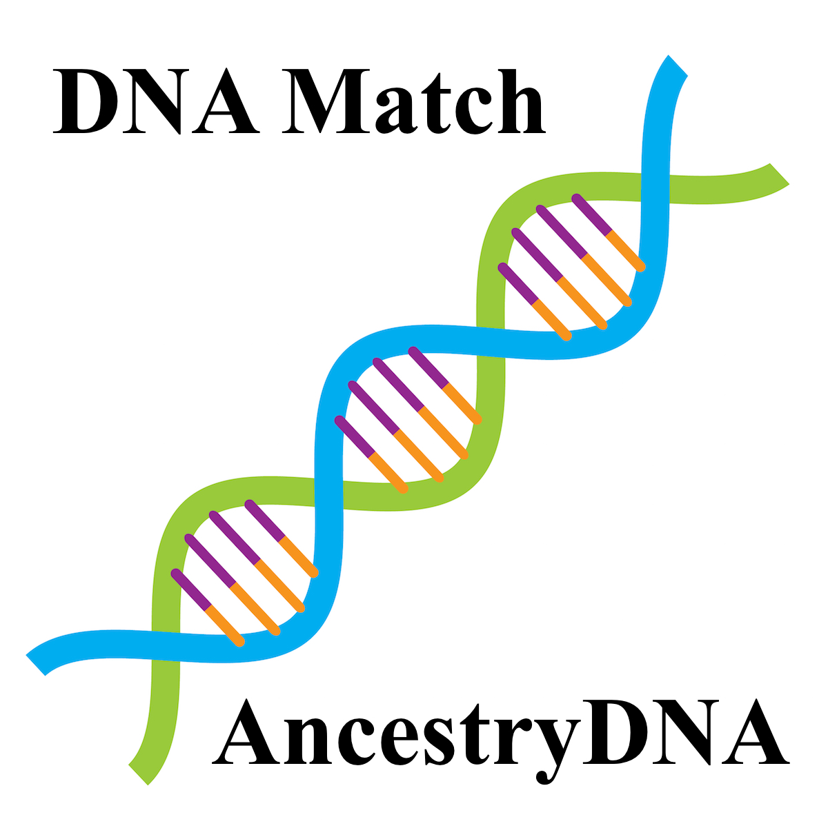 Genaueres DNA-Matching bei Ancestry