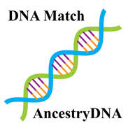 Ancestry DNA How to